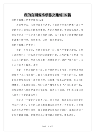 我的自画像小学作文集锦15篇