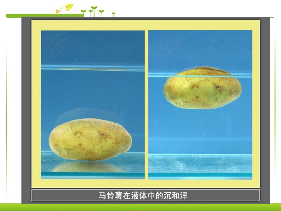 马铃薯在液体中的沉浮_第3页