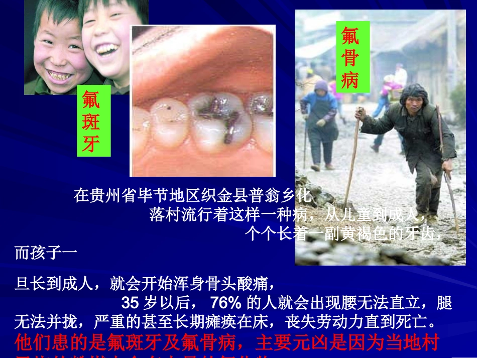 化学元素与人体健康_第2页