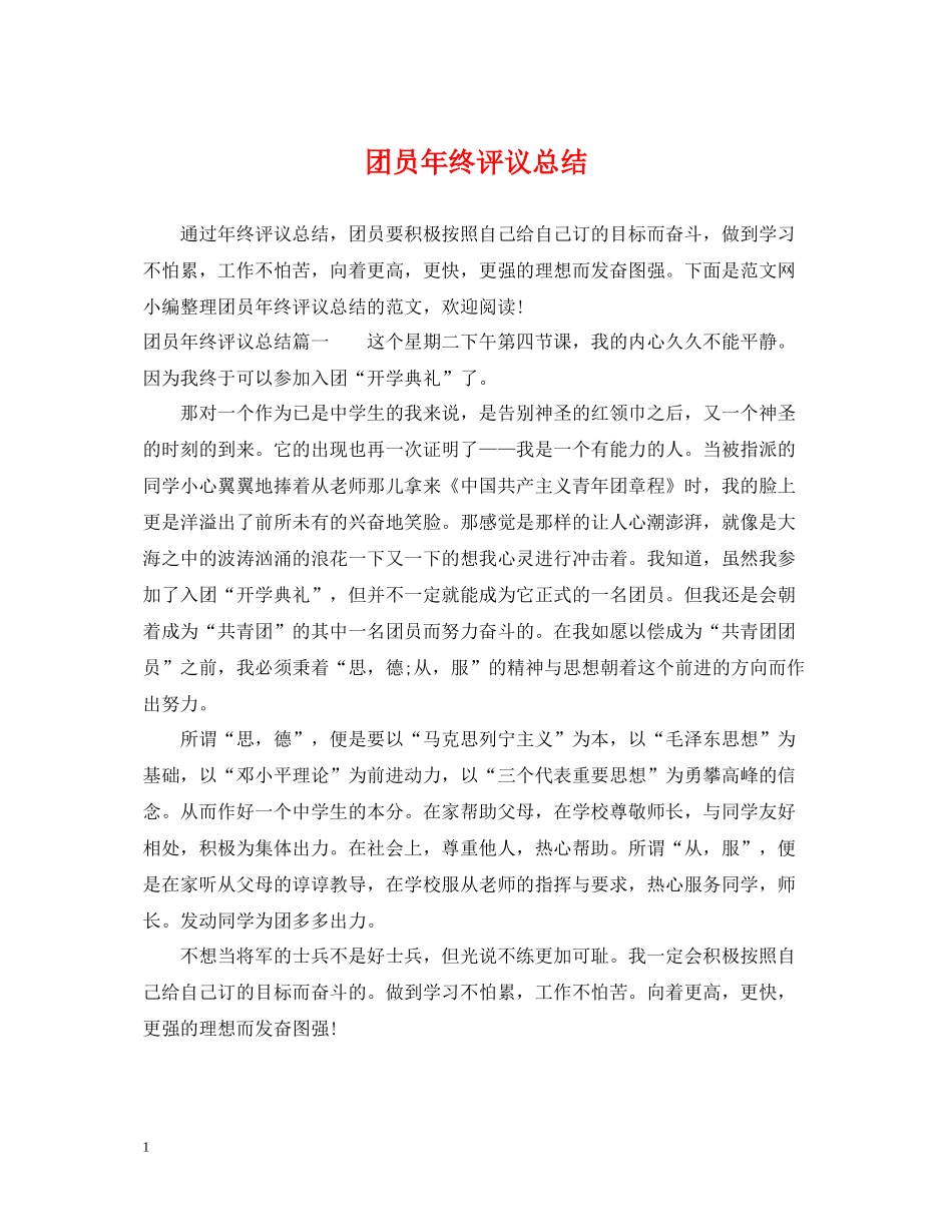团员年终评议总结_第1页