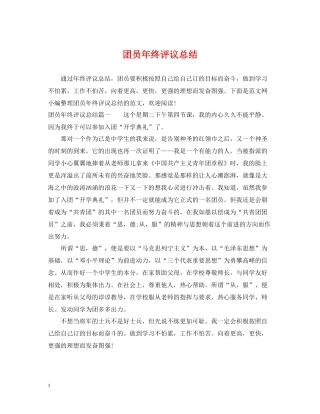 团员年终评议总结