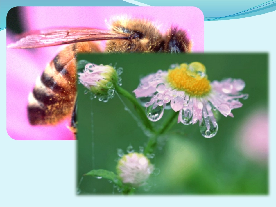 美妙的小世界1_第3页