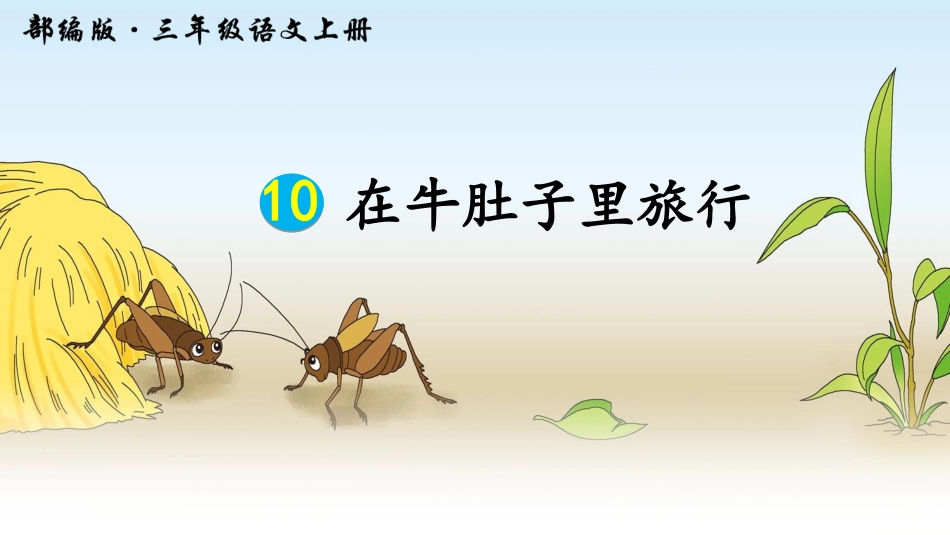 在牛肚子里旅行_第2页