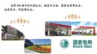 公有制为主体多种所有制经济共同发展(共张PPT)