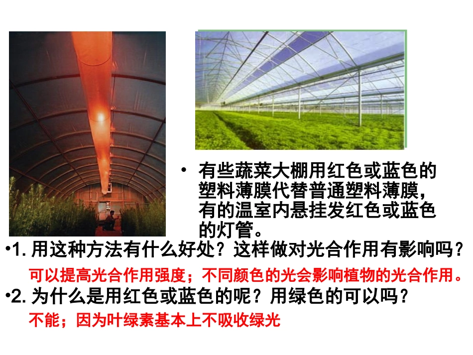 《能量之源——光与光合作用》PPT课件_第2页