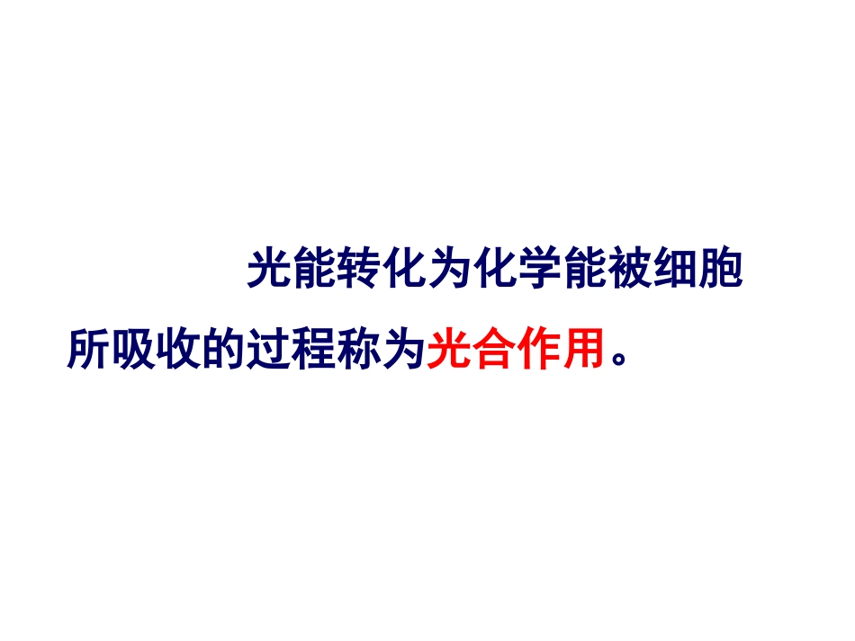 《能量之源——光与光合作用》PPT课件_第3页