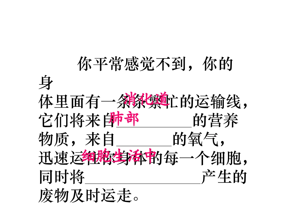 流动的组织—血液_第2页