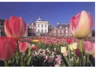 我的妈妈是中国