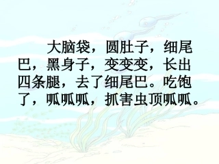 、小蝌蚪找妈妈课件