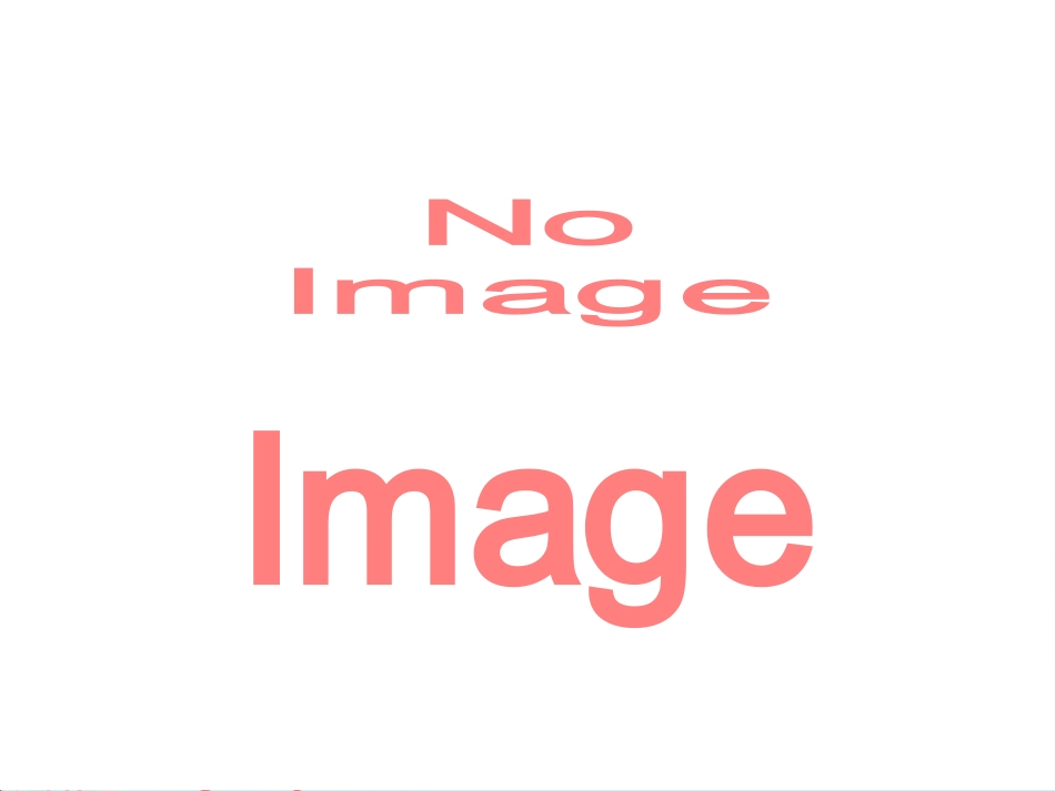 《五彩的烟花》PPT课件_第1页