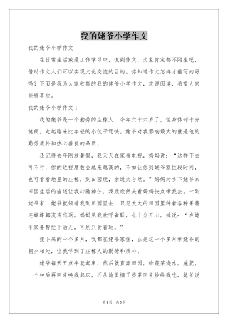 我的姥爷小学作文