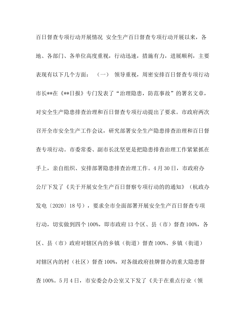 2020年某市安全生产百日督查专项行动总结_第2页