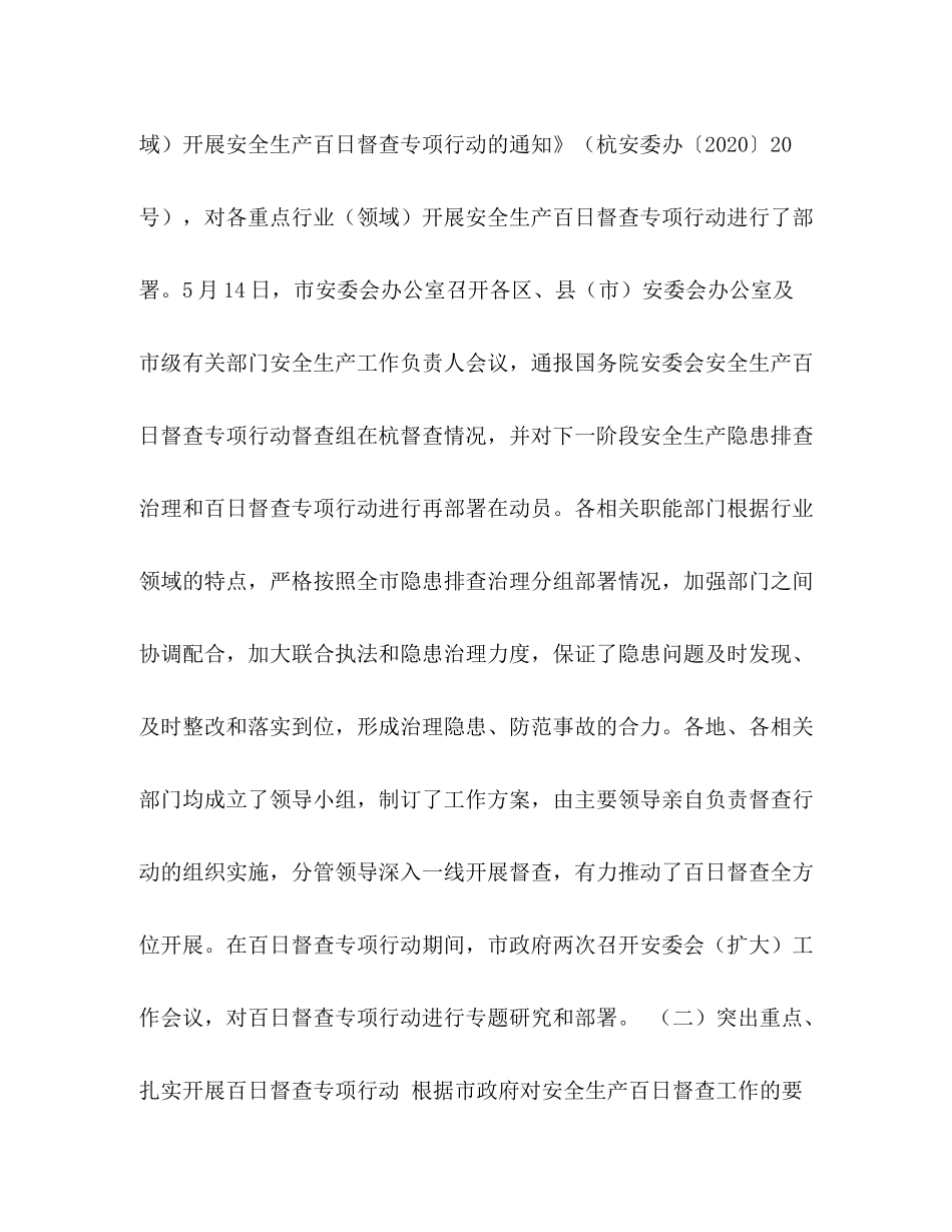 2020年某市安全生产百日督查专项行动总结_第3页