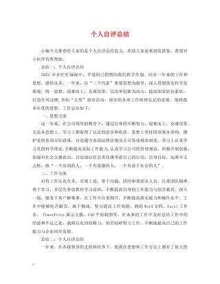 个人自评总结 