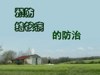 结核病防治知识课件