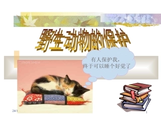 野生动物保护[