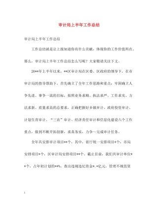 审计局上半年工作总结2)