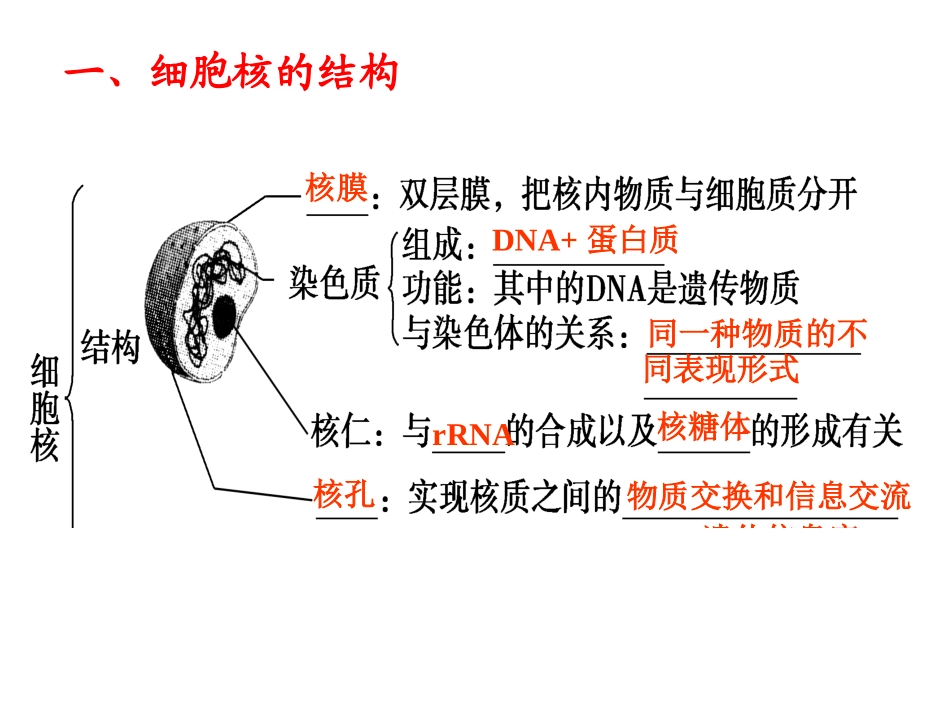 细胞核系统的控制中心_第3页