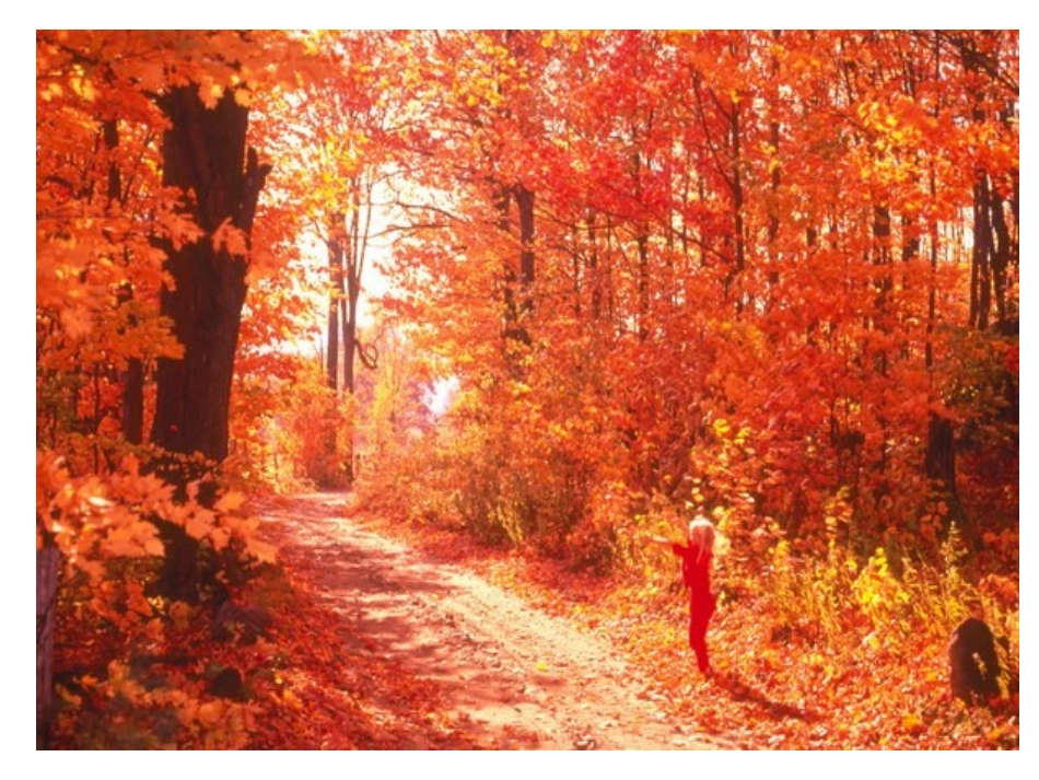 、秋天的图画 ()_第1页