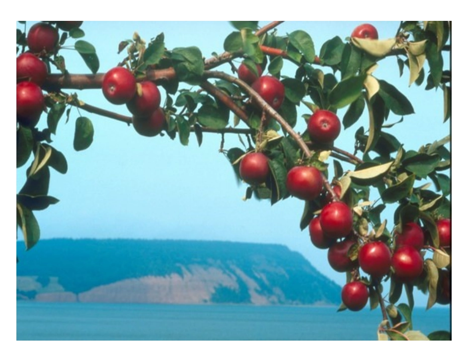 、秋天的图画 ()_第3页