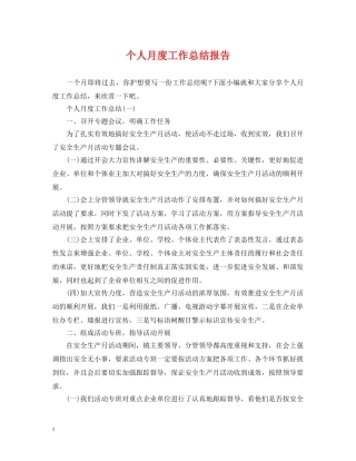 个人月度工作总结报告 