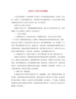 业务员个人月度工作总结精选