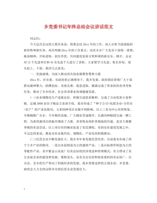 乡党委书记年终总结会议讲话范文