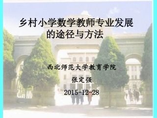 小学数学教师专业发展2015-12-28