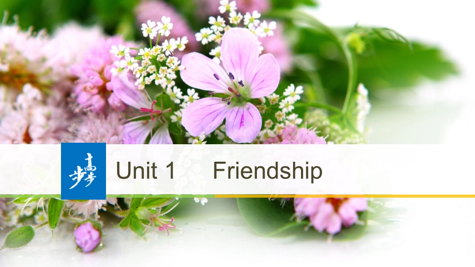 -版：（全国）必修一UnitFriendship-Grammar（步步高）_第1页