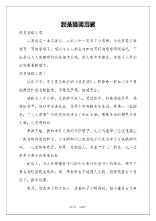 我是猫读后感