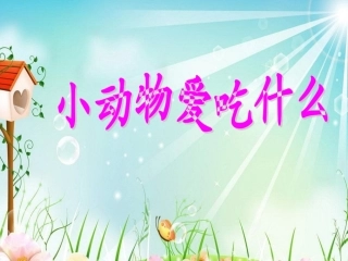 小动物爱吃什么1