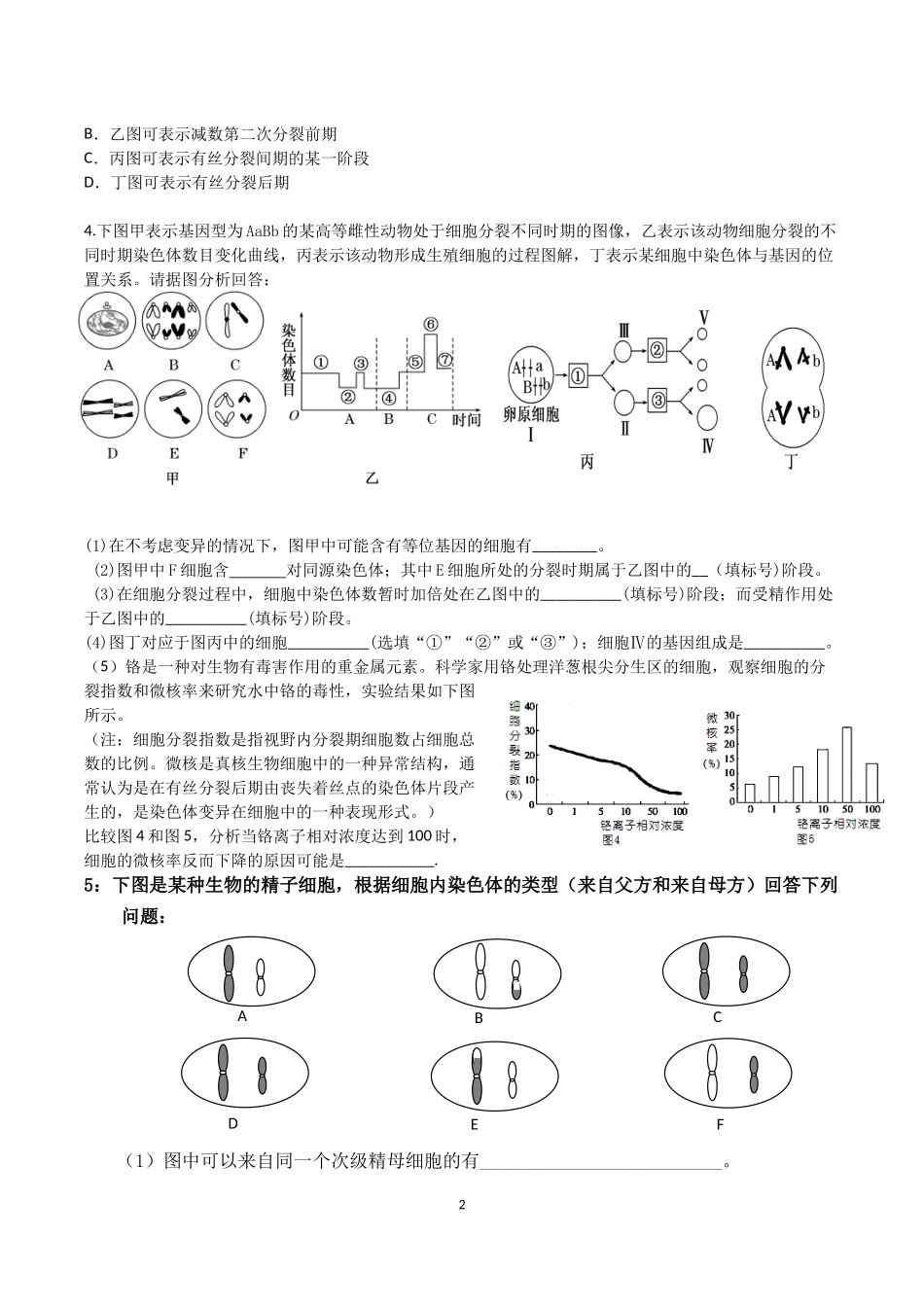 减数分裂专题训练_第2页