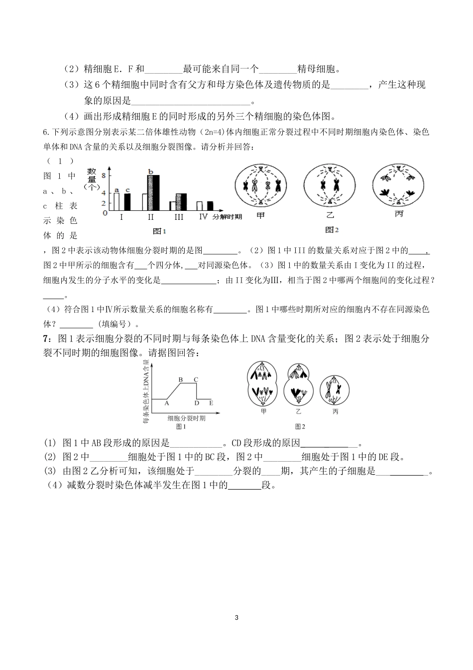 减数分裂专题训练_第3页