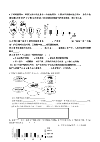 减数分裂专题训练