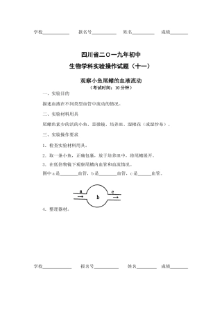 观察小鱼尾鳍的血液流动