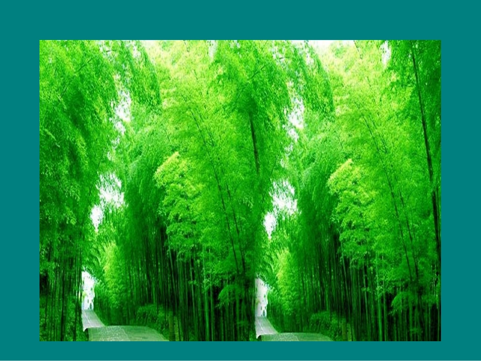 墨竹画法(1)_第2页