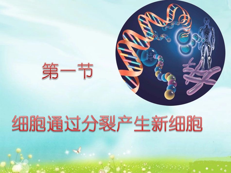 第一节细胞通过分裂产生新细胞（公开课）_第2页