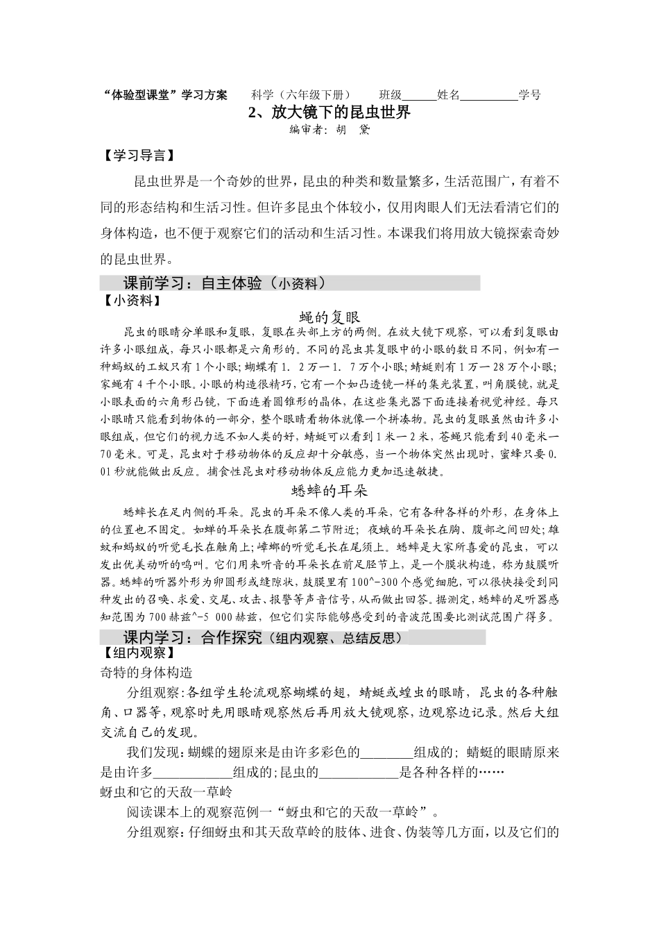 放大镜下的昆虫世界_第1页