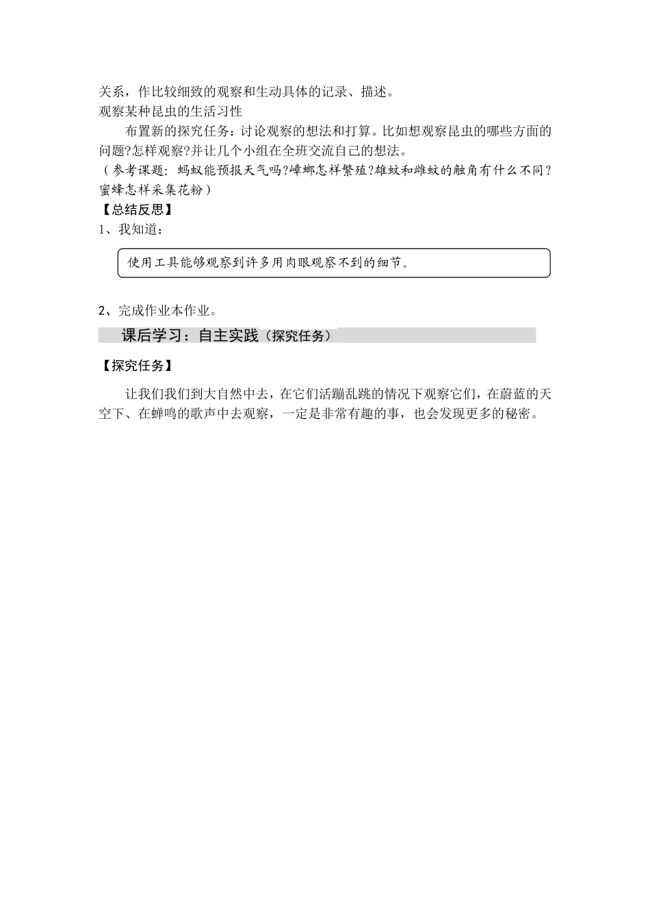 放大镜下的昆虫世界_第2页