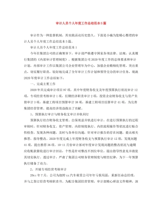 审计人员个人年度工作总结范本5篇