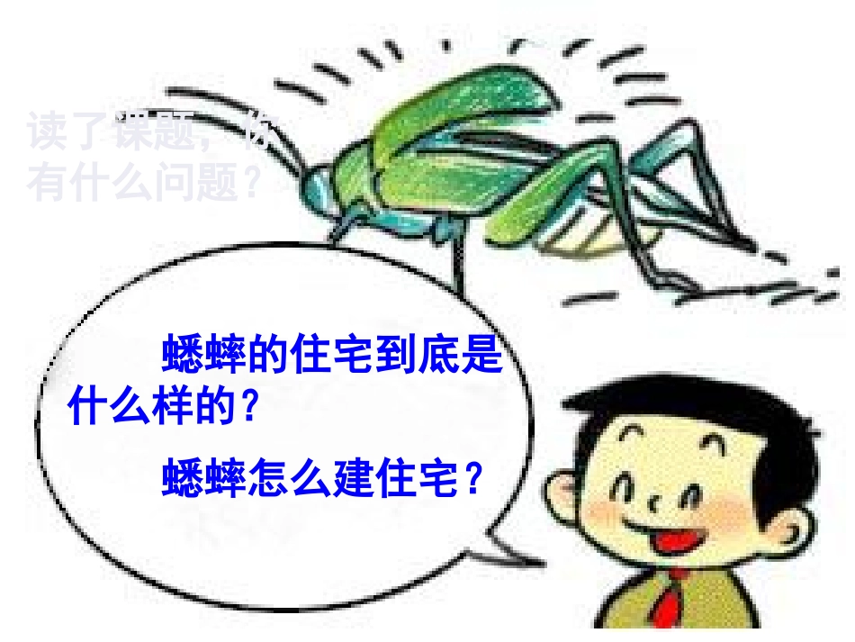 《蟋蟀的住宅》PPT_第2页