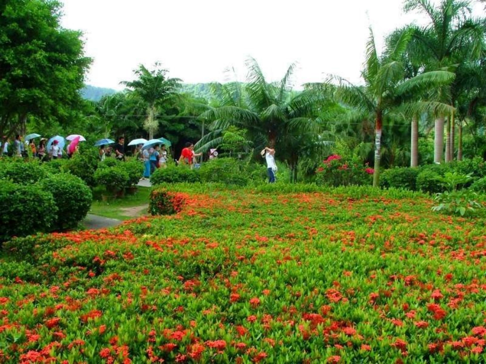 我的祖国多辽阔_(2)_(1)_第3页