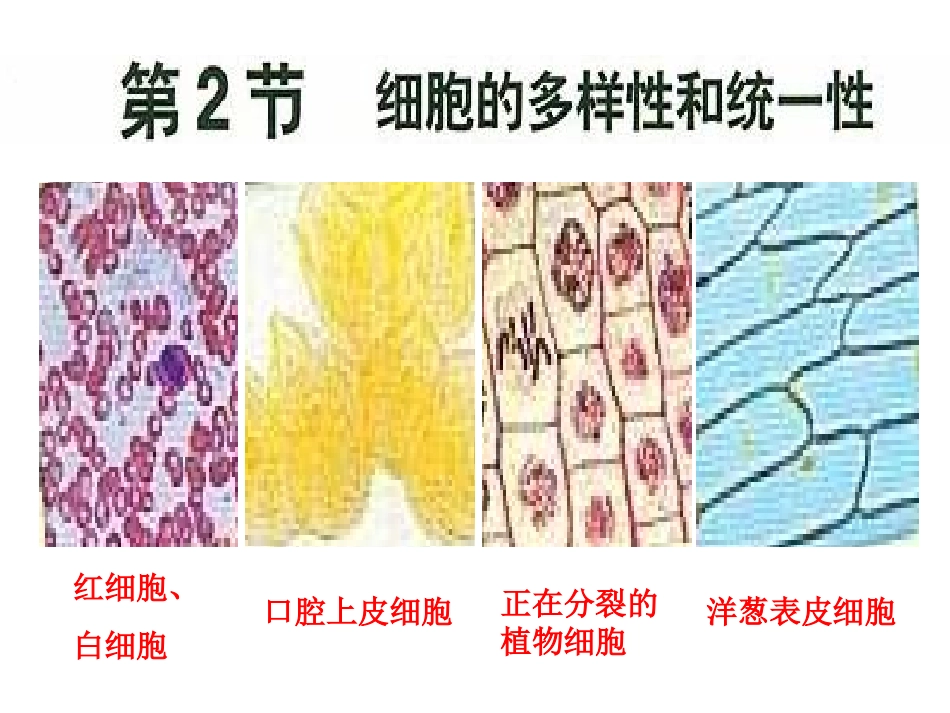 细胞的多样性和统一性（必修）_第1页