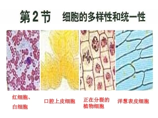 细胞的多样性和统一性（必修）
