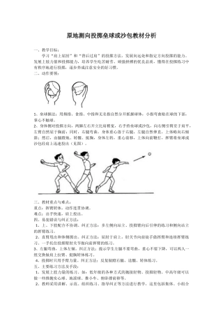原地侧向投掷垒球或沙包教材分析
