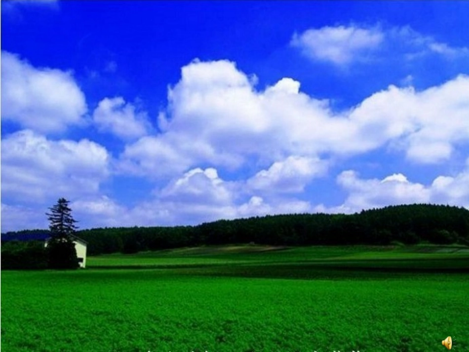 牧场上的家PPT_第1页