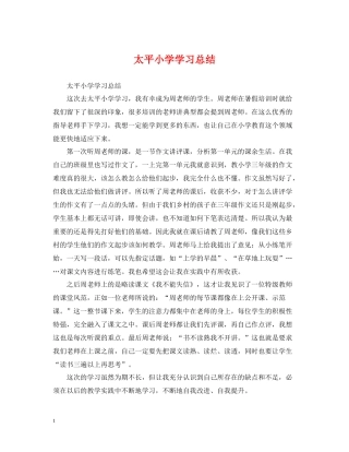 太平小学学习总结