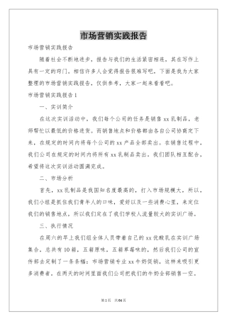 市场营销实践报告