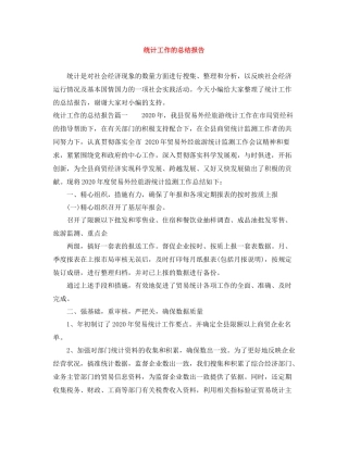 统计工作的总结报告