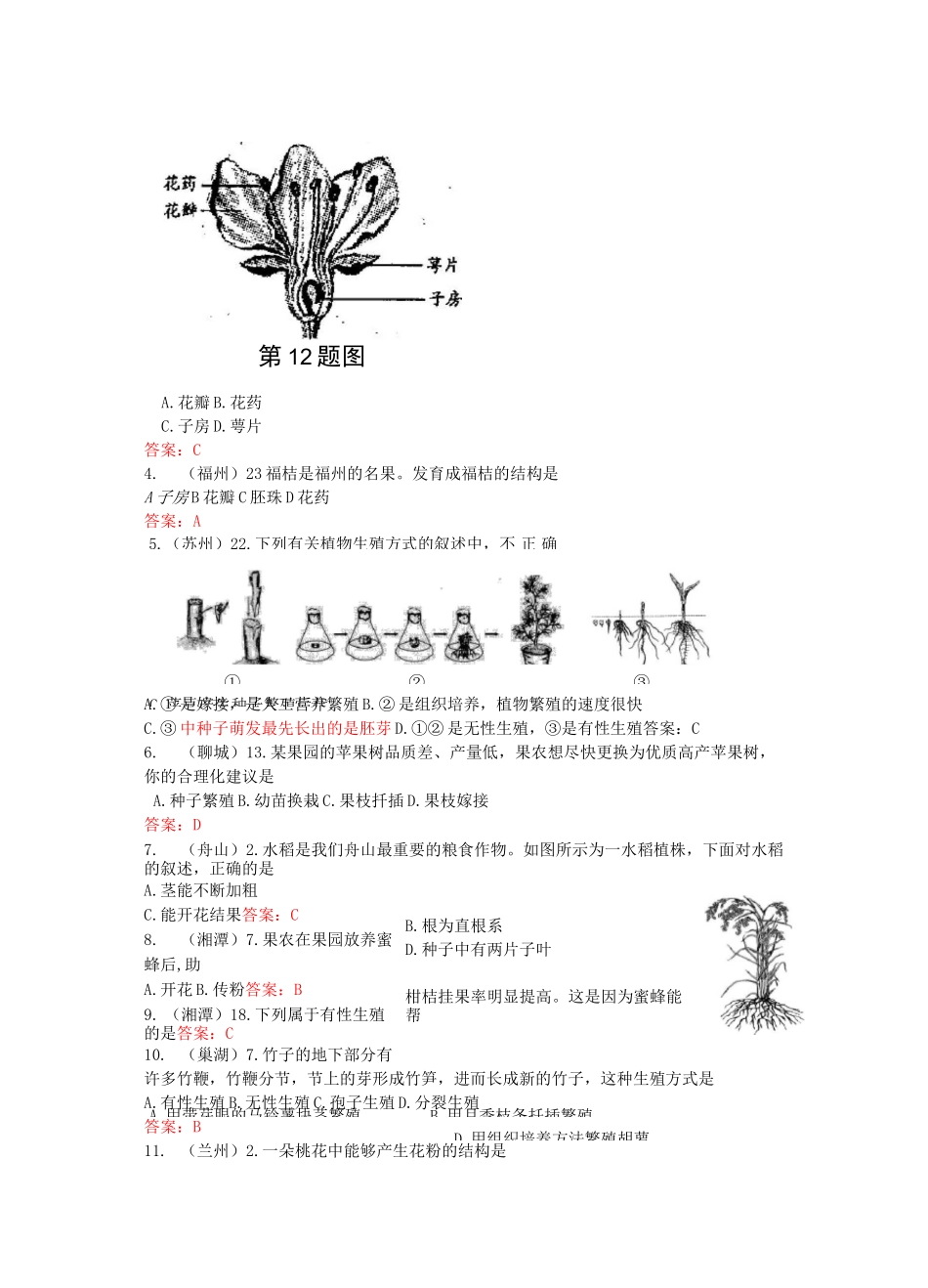 中考生物试题汇编：植物的生殖(含答案)_第2页